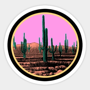 Desert Cactus Sunset Sticker